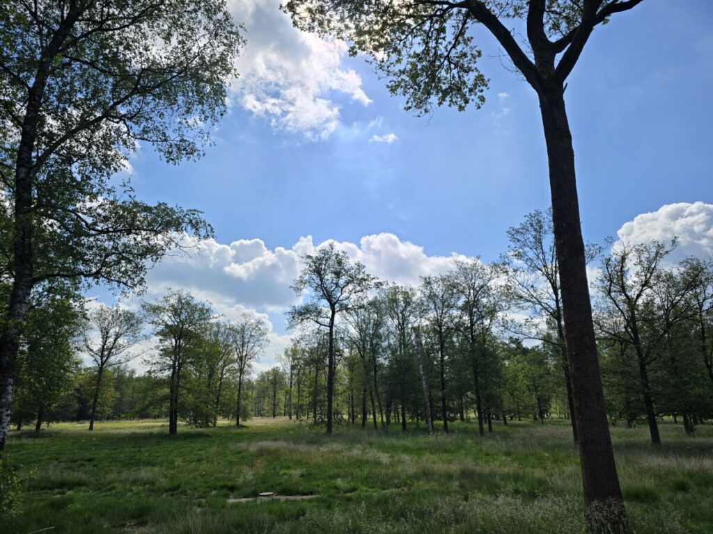natuurgraf-natuurbegraven-den-haag-mare-uitvaart_liggend