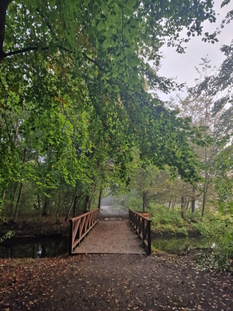 Uitvaart Den Haag Mare Uitvaartbegeleiding meer en bos